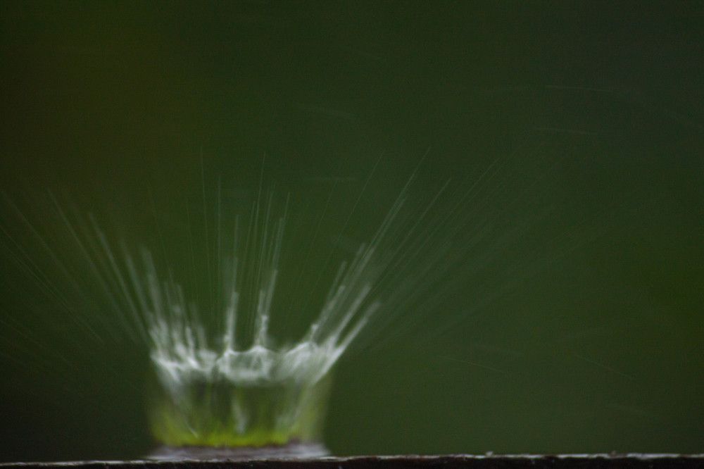 Photograph by Vladislav Kapanov