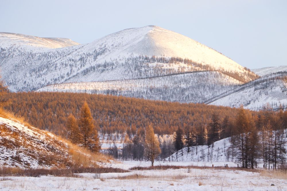 Зима в горах Верхоянья