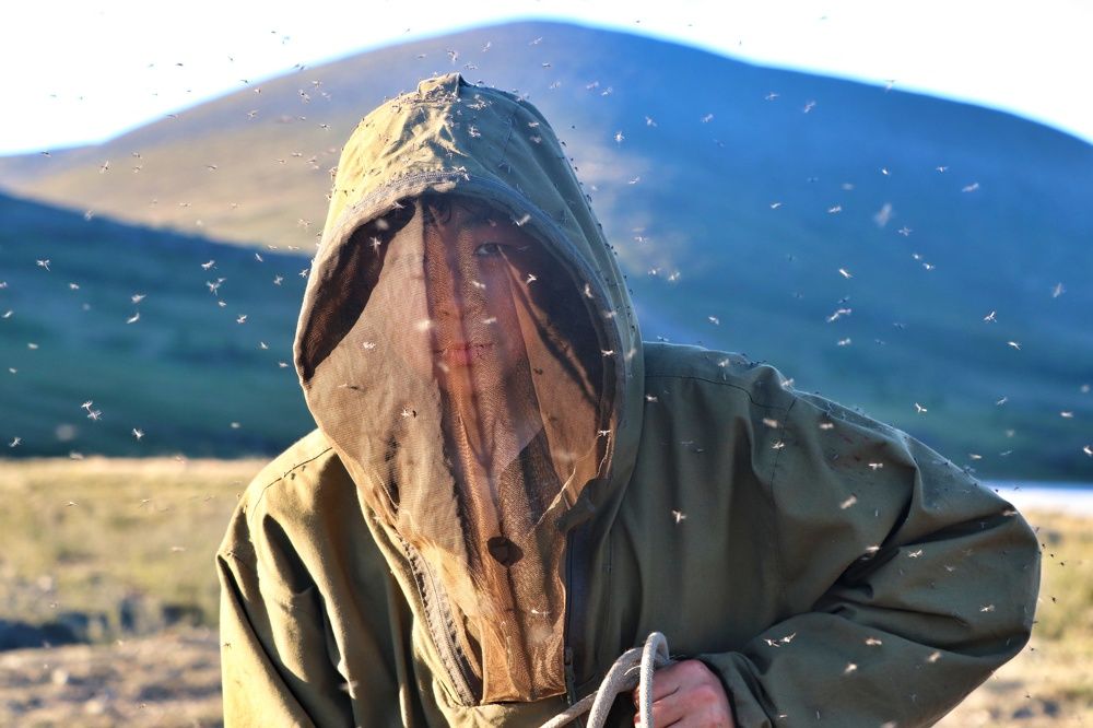 Жизнь оленевода