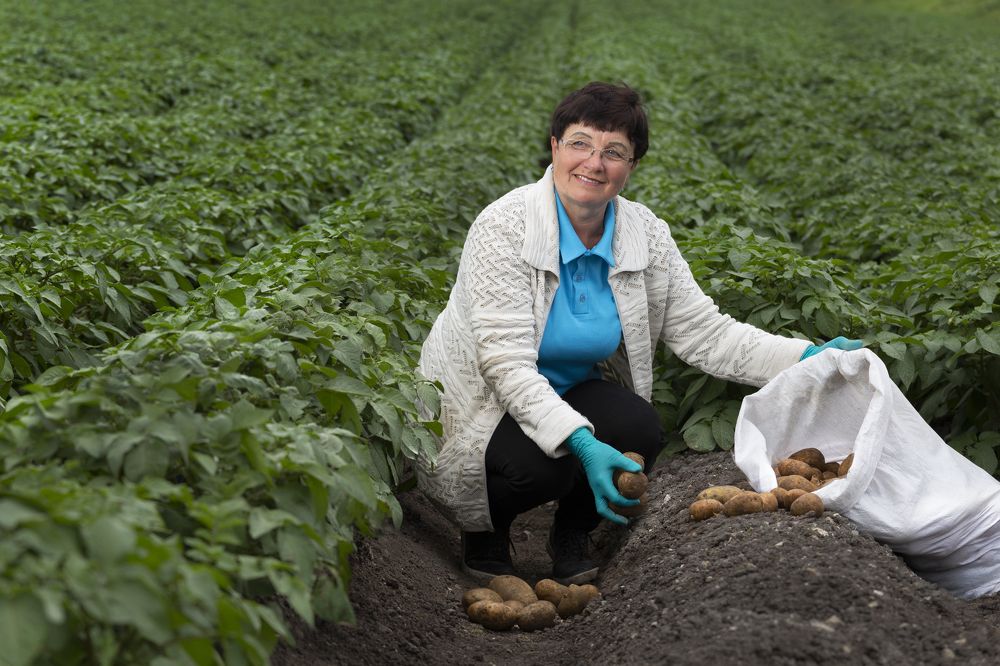 Photograph by Андрей Щербинин