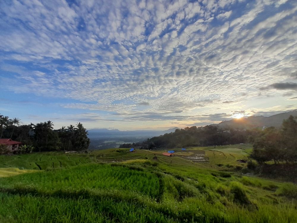 Photograph by M AFDAL