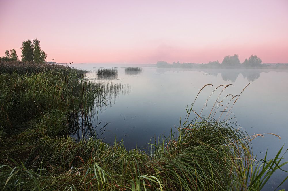 Photograph by Зеленько Дмитрий