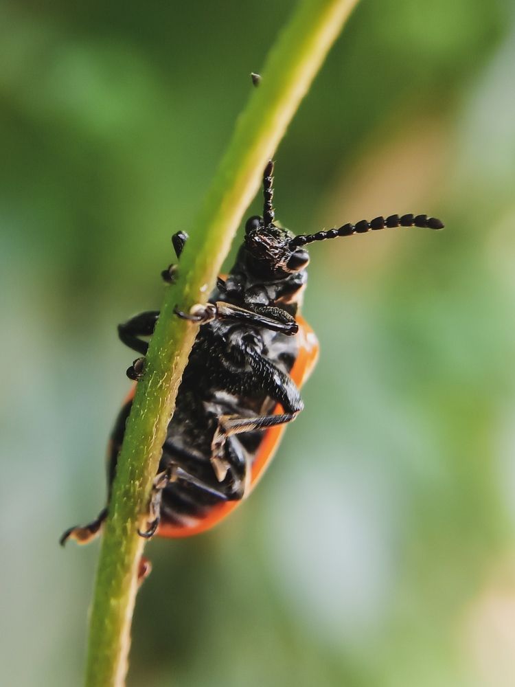 Photograph by Vishnu SR