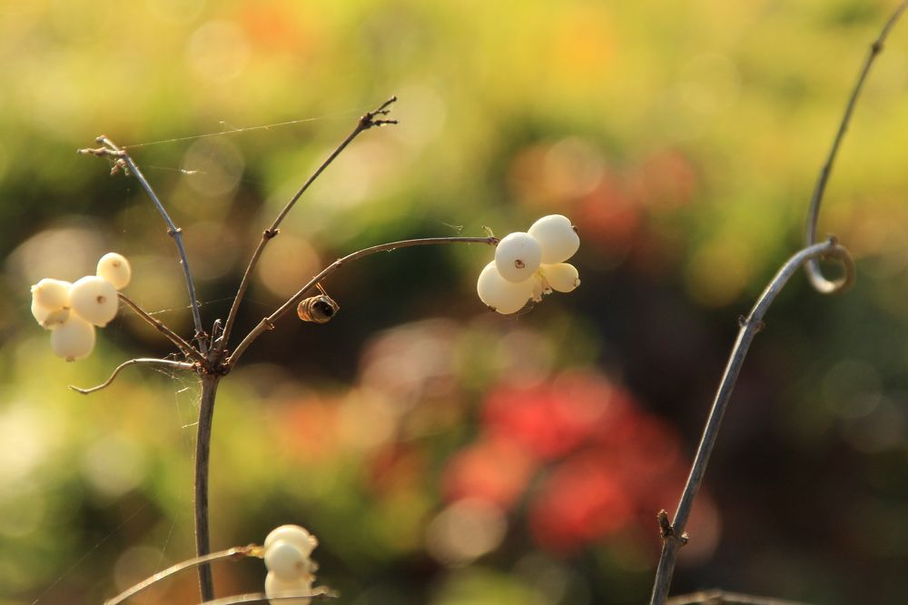 Photograph by Илья Беликов