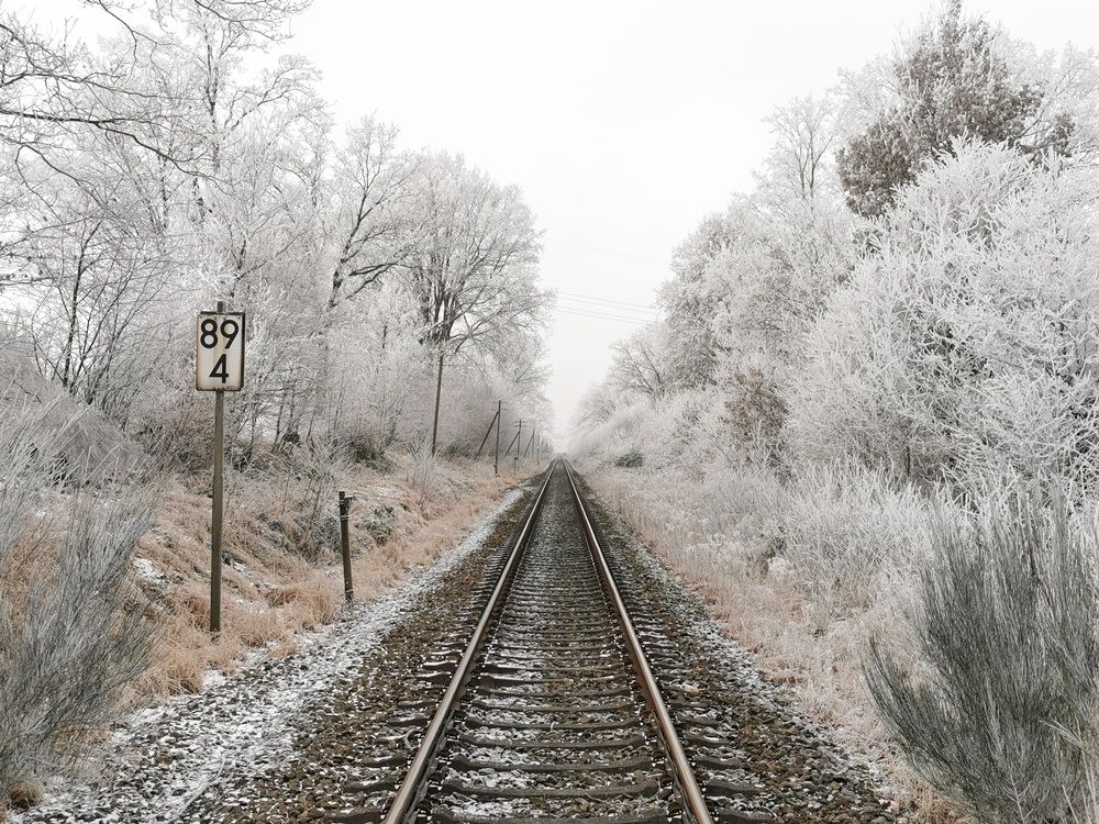 Пути в зиму