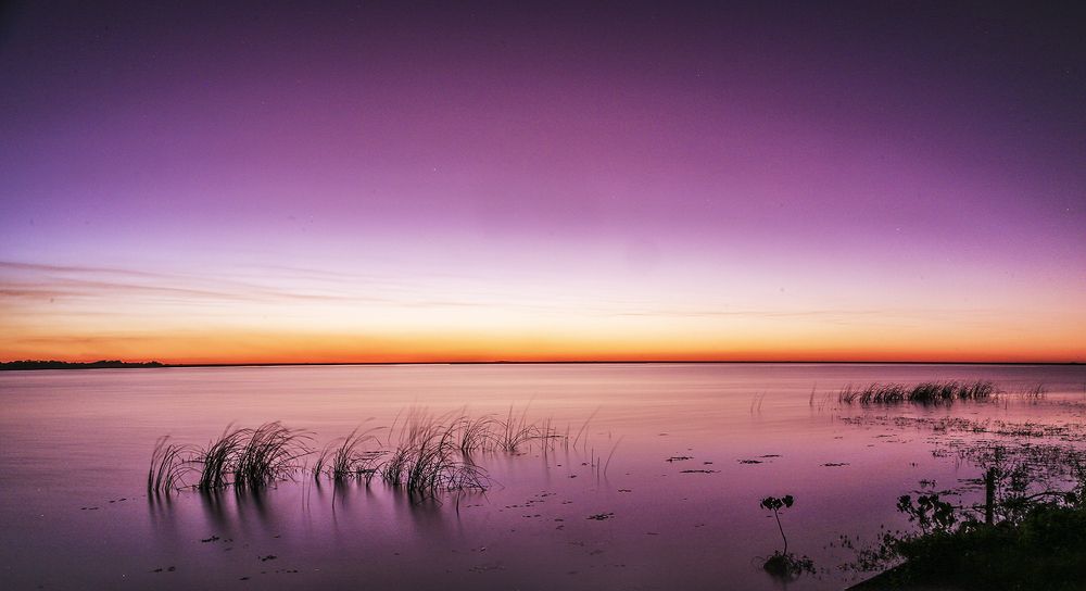 Фотография автора Marina