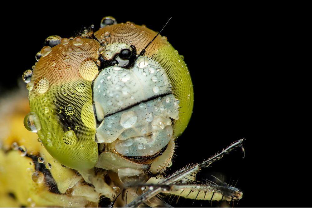 Photograph by Dhruv Shilpi