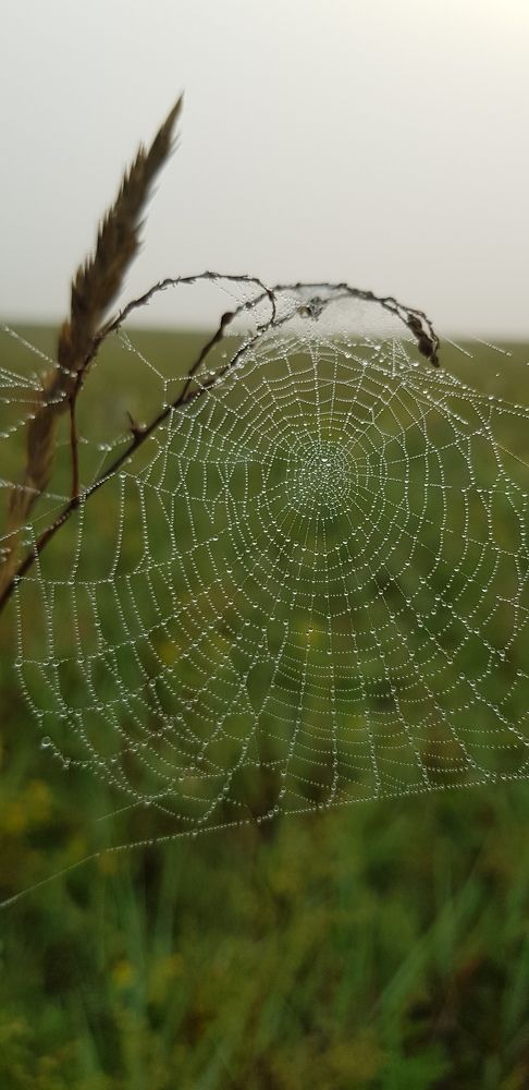 Photograph by Елена Мизина