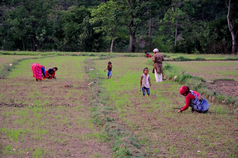 Photograph by SANDEEP KUMAR SHARMA