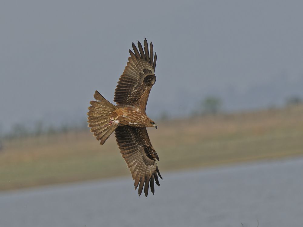 Photograph by RAJESH MAHAJAN