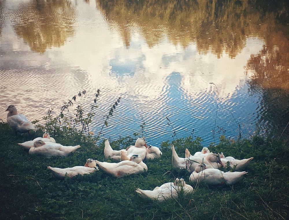 Photograph by Елена Дегтяренко