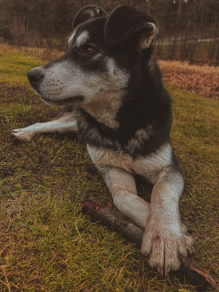 Photograph by Екатерина Васильева