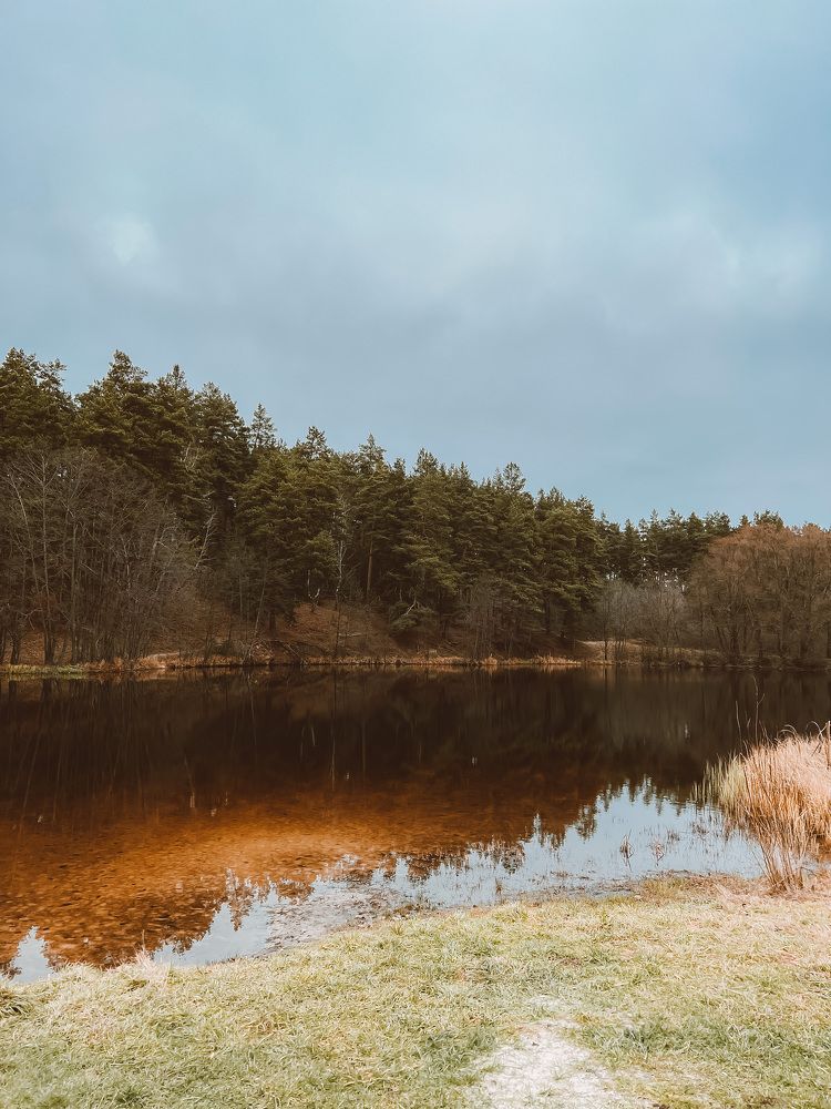 Photograph by Екатерина Васильева