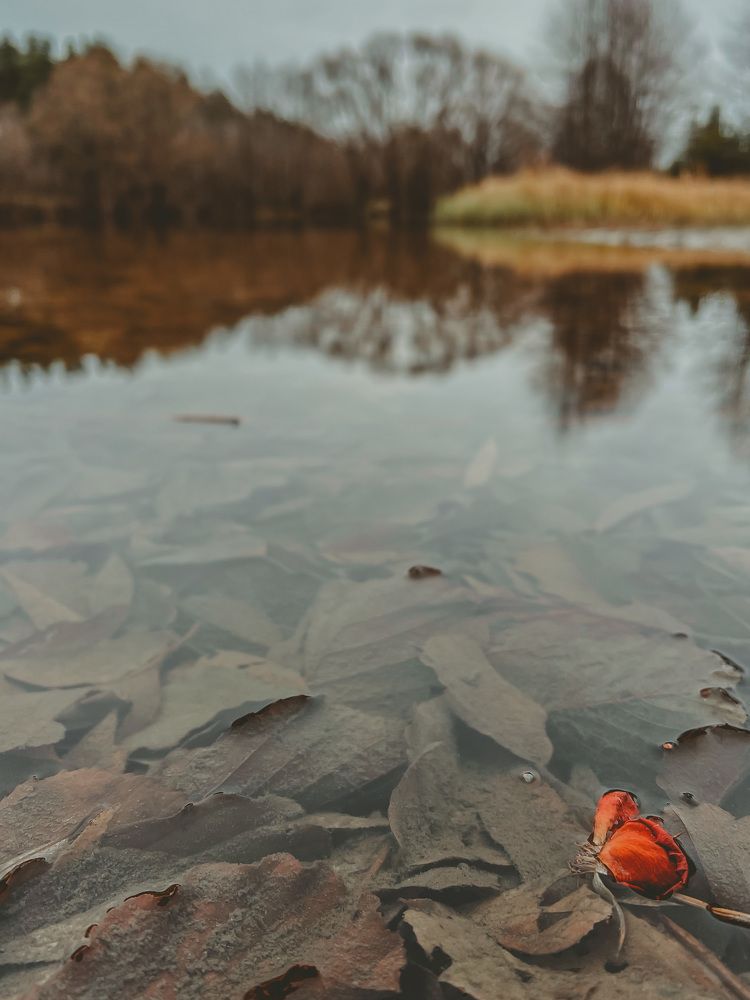 Photograph by Екатерина Васильева