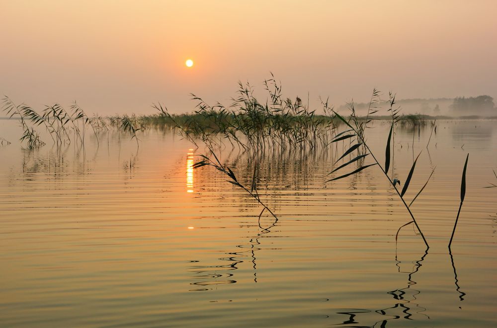 Фотография автора Кухта Мария