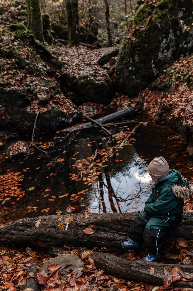 Photograph by Валентина Григорьева