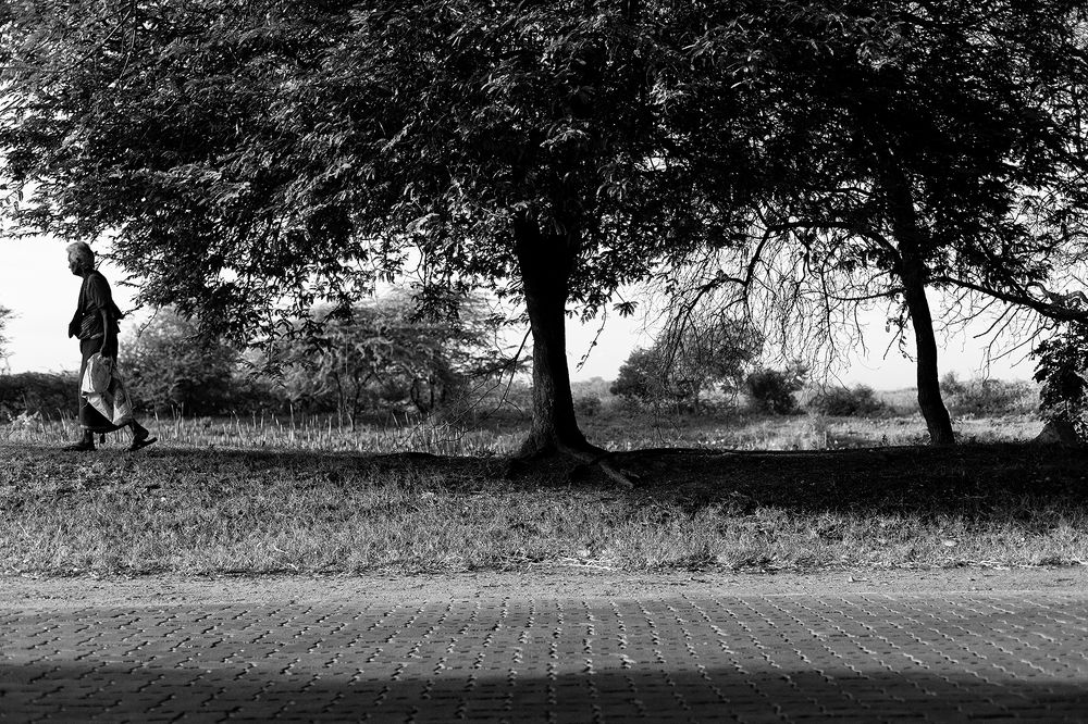 Photograph by Udhaya Sankar Alias Vinith M