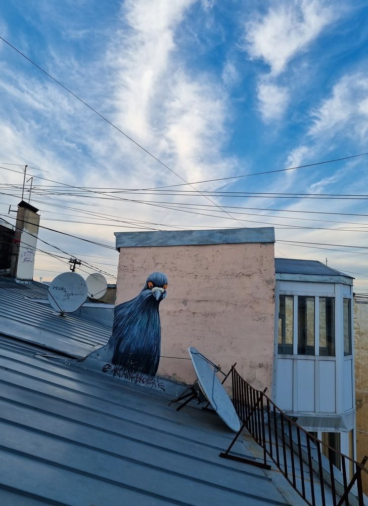 Photograph by Наталья Анисимова