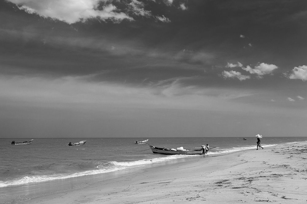 Photograph by Udhaya Sankar Alias Vinith M