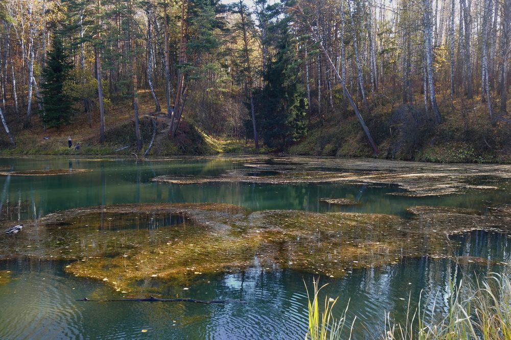 Photograph by Сергей Гребенников