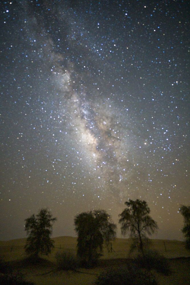 Photograph by Abdulrahman Sawalha