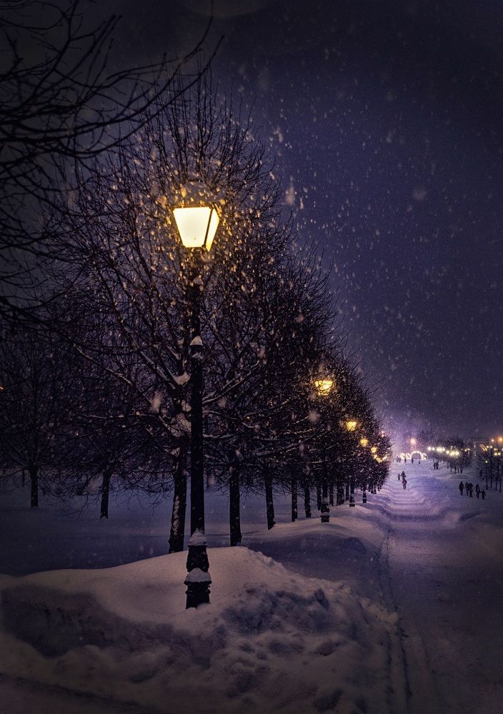 Photograph by Ольга Попова