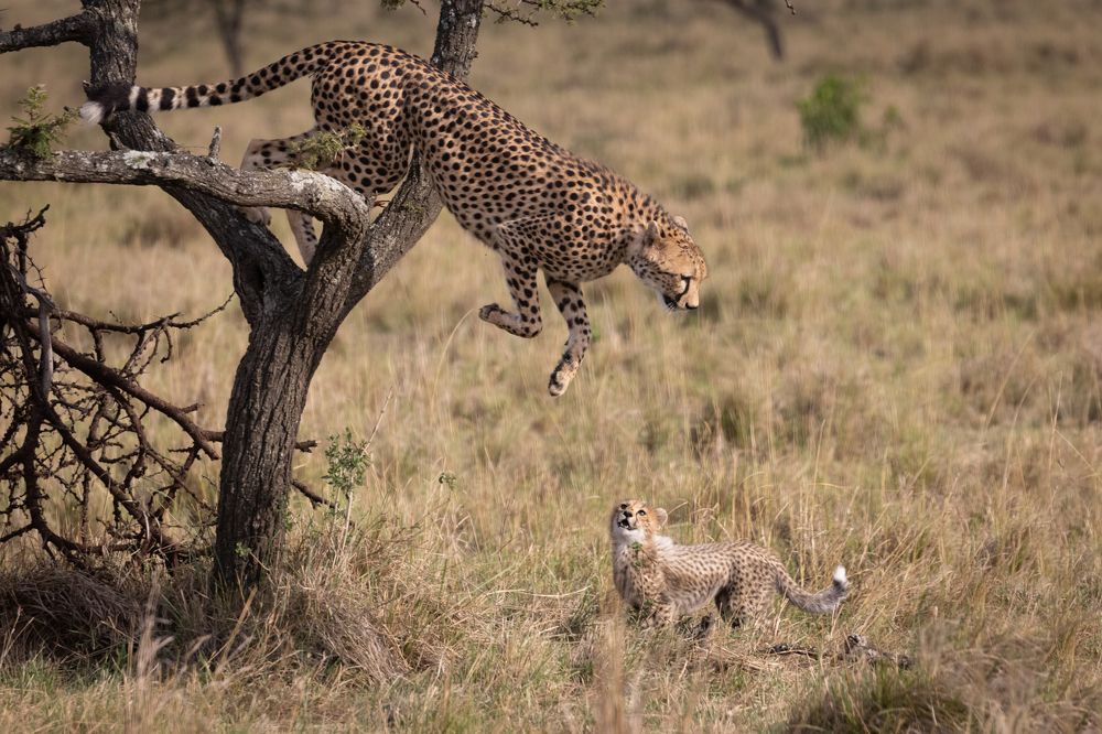 Photograph by Roman Bevzenko