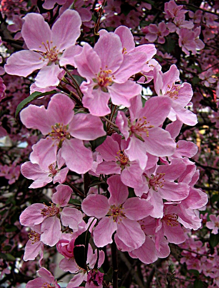 Photograph by Игорь Быков