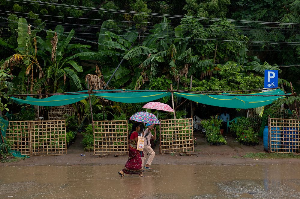 Photograph by Udhaya Sankar Alias Vinith M