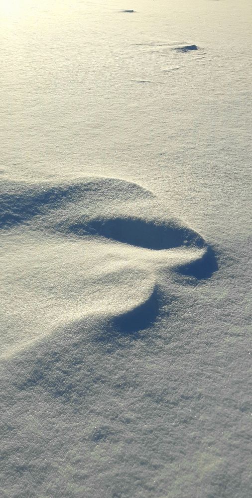 Photograph by Павел Минкевич