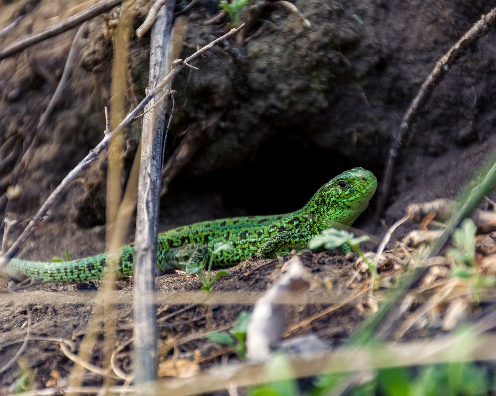 Photograph by Николай Головко