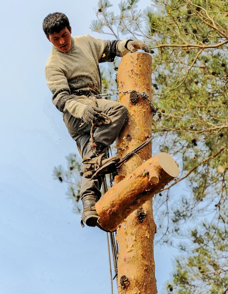 Photograph by Ольга Дядченко