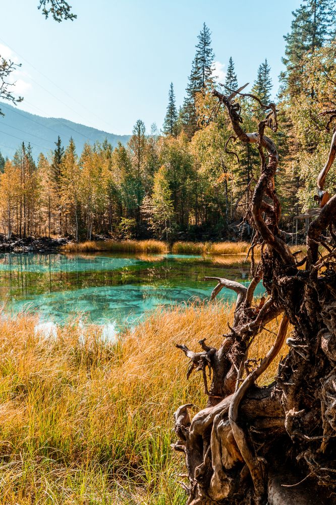 Photograph by Андрей Шишлов