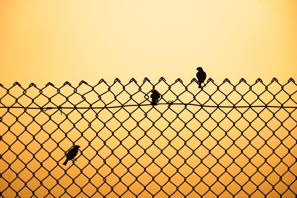 Photograph by Mutasim AL-Bulushi