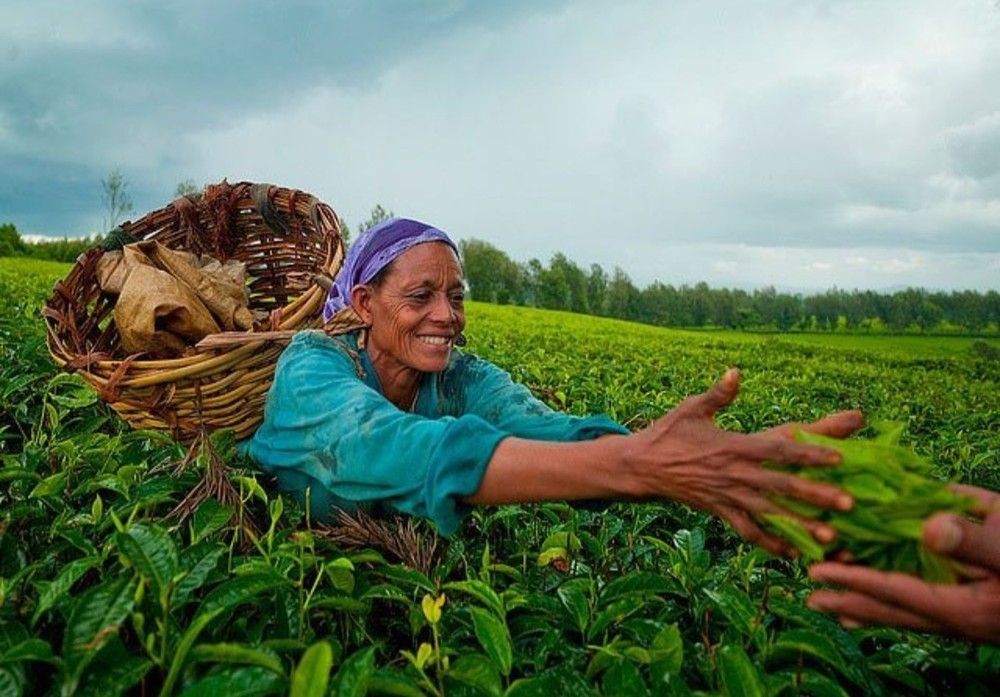 Photograph by MIHERETU DANIEL