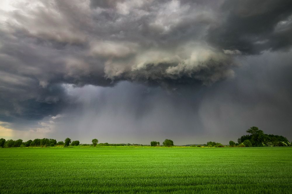 Photograph by Ильюшенко Андрей