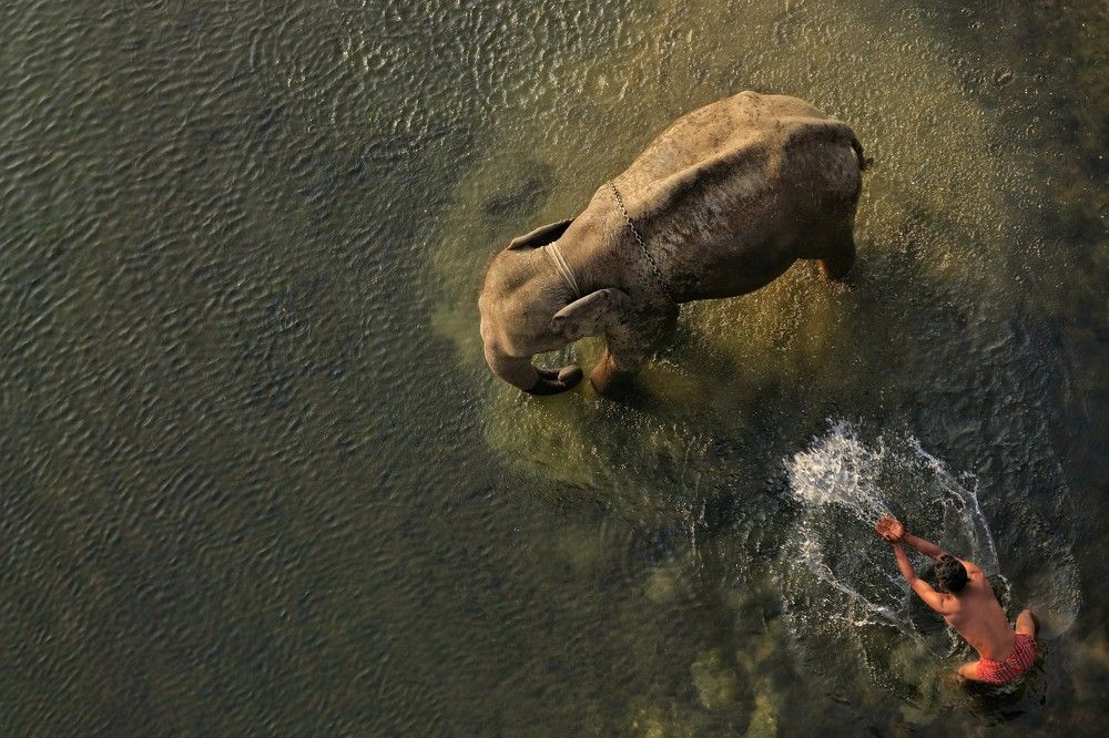 Photograph by Tomal Das