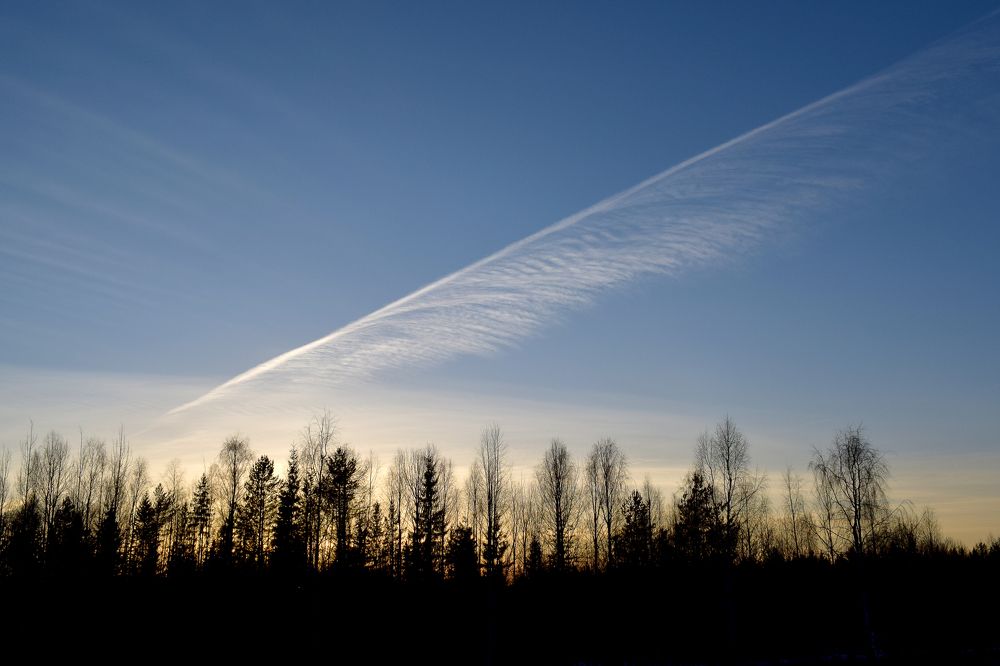 Фотография автора Оксана Льдинина