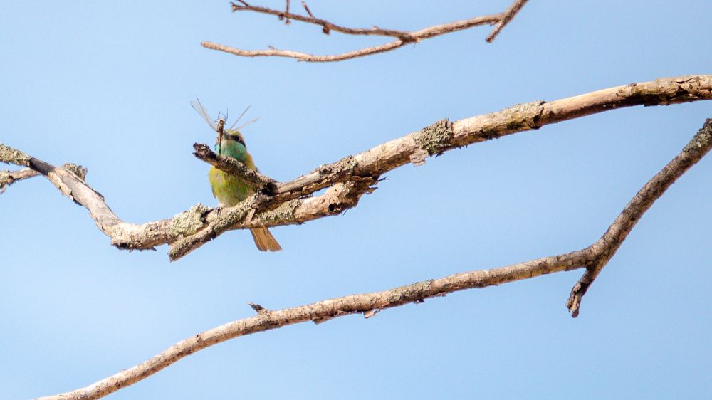 Photograph by Hashin Maharambage