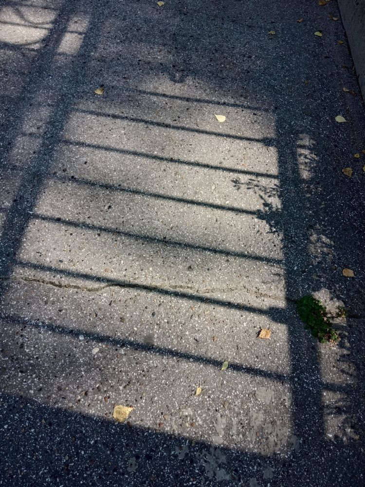 Photograph by НИНА АВЕРЬЯНОВА