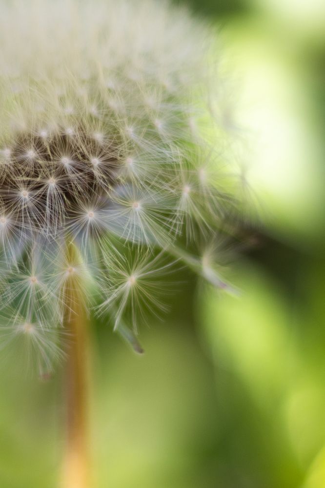 Photograph by Valeria Stepanova