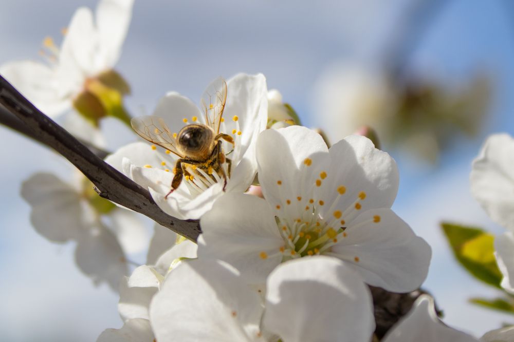 Photograph by Valeria Stepanova