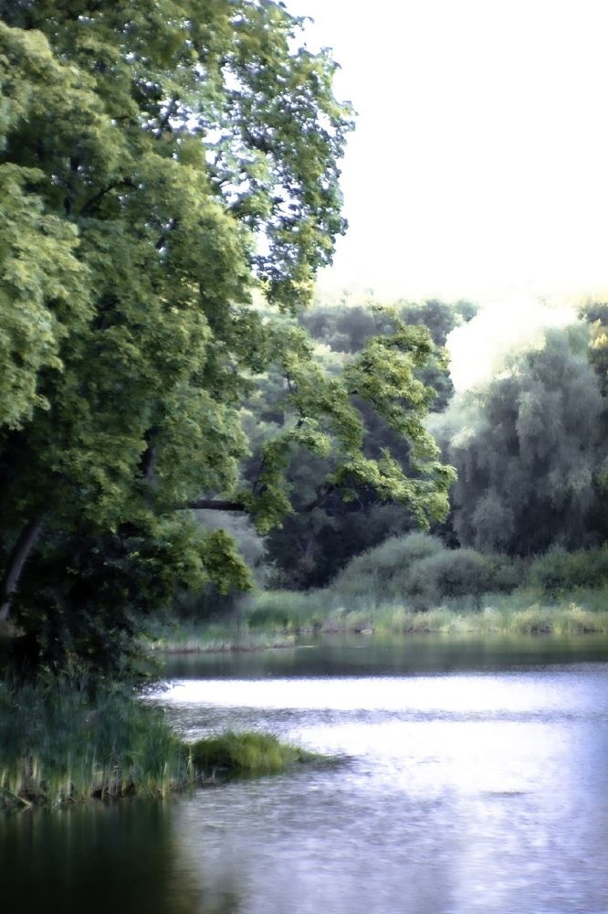 Photograph by Анастасия Прокопова