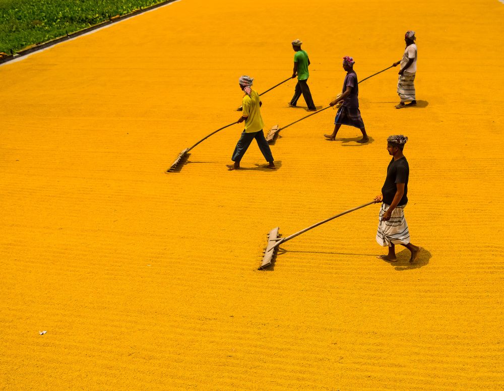 Photograph by Kajol Dey