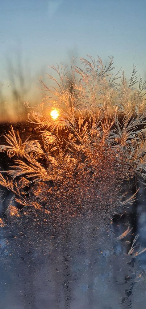 Photograph by Татьяна Мельникова