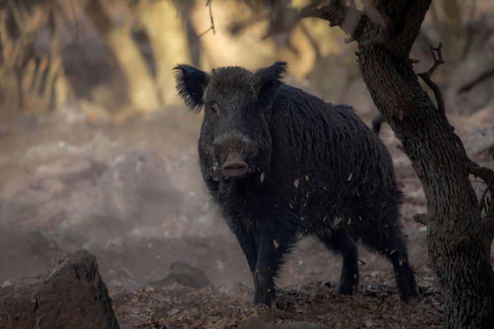 Photograph by Yaniv Abramovitz