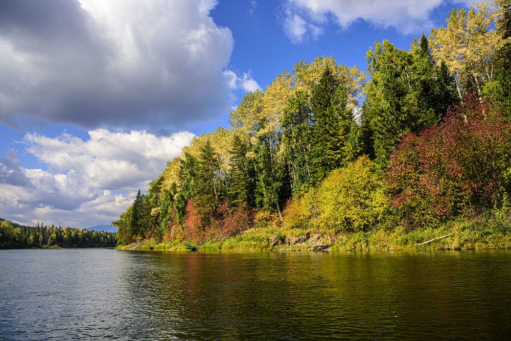 Photograph by Юрий Амосов