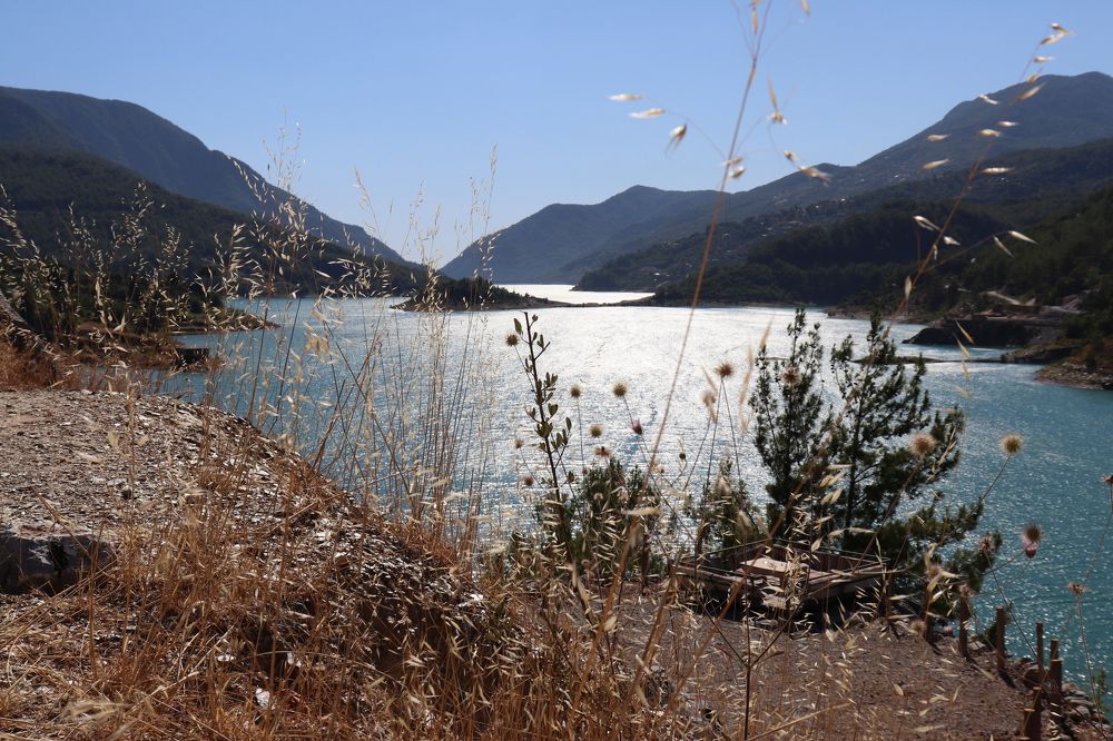 Photograph by Алексейчик Дмитрий