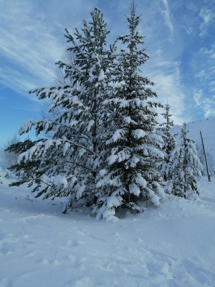 Photograph by Арина