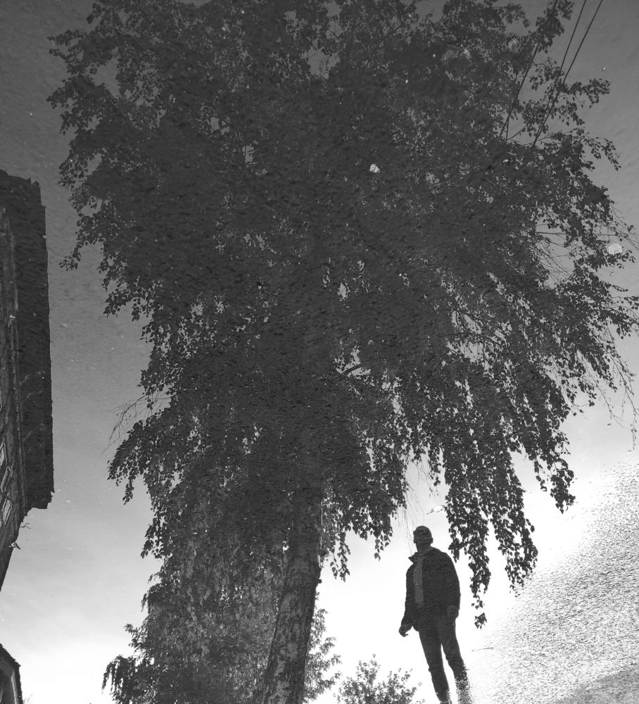 Photograph by Анна Нафтаева